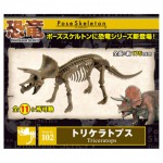 全新有包裝紙盒Re-Ment可動關節恐龍化石骨架 Pose Skeleton Dinosaur Series 102 Triceratops Figure Posable三角龍